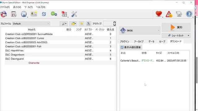 今から始めるスカイリム　23年8月7日付 1.6.640を1.5.97へダウングレードをしたSE版で装備MOD導入まで（修正版） смотреть онлайн