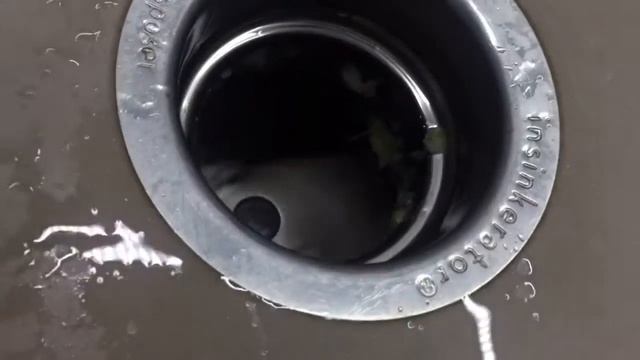 Insinkerstor Evolution 100