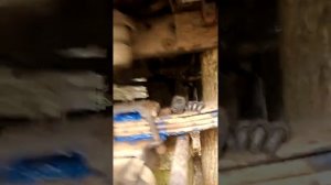 замена ступичного подшипника и крестовины полуоси на соболь 4х4