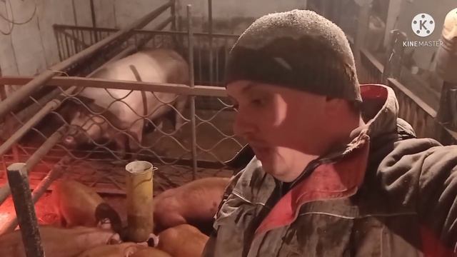 Идёт рабочий процесс ,Корм,Буржуйка ,Коля смотреть онлайн