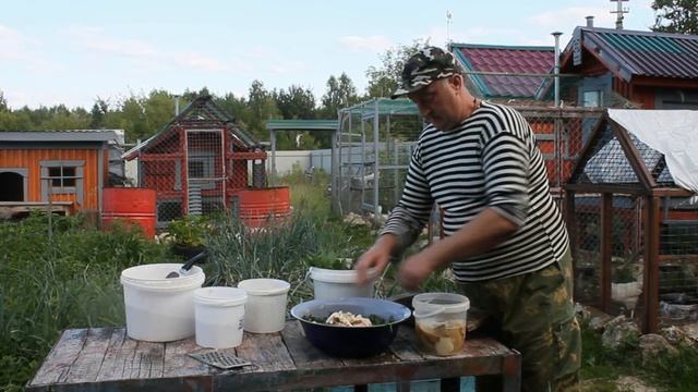 Летняя витаминная мешанка для кур несушек. смотреть онлайн