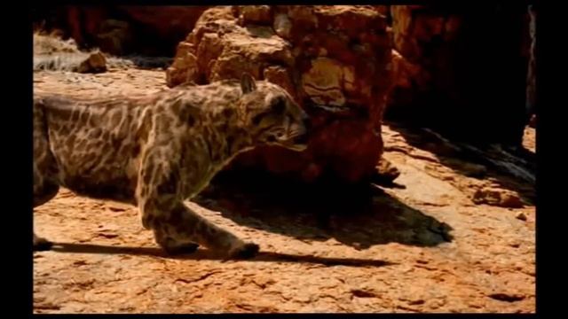 TRILOGY OF LIFE - Walking with Beasts - "Dinofelis" смотреть онлайн