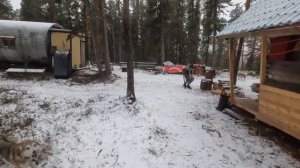 Охота на медведя и на лося с лайками.