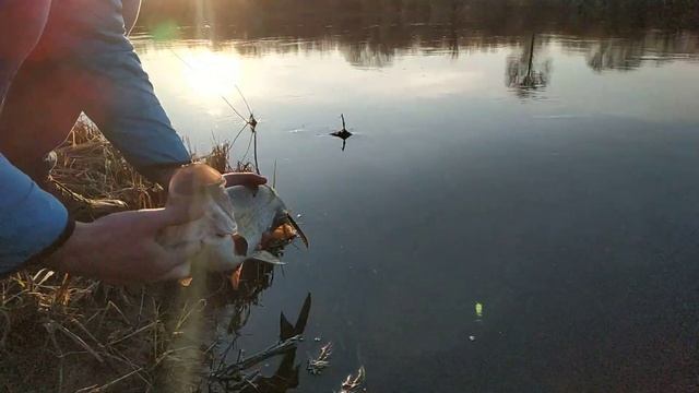 Отпускаем жереха смотреть онлайн