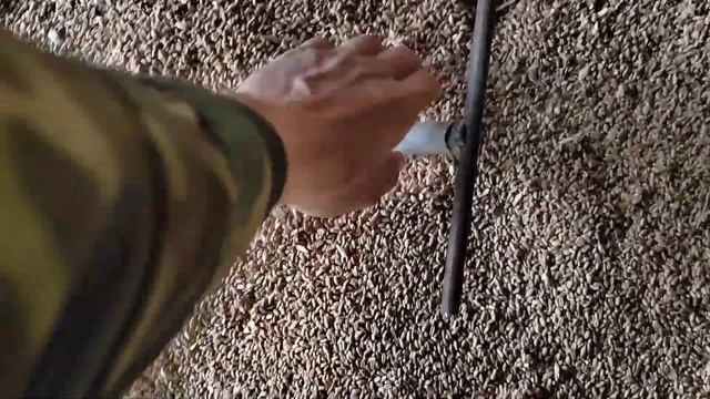 Приспособление для борьбы с вредителями в буртах пшеницы. смотреть онлайн