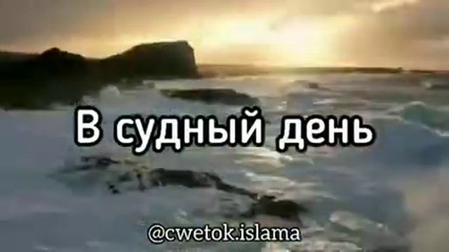 Не важно кто ты перед людьми! смотреть онлайн