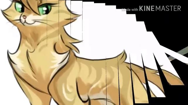 Коты-воители~Песчаная буря? смотреть онлайн