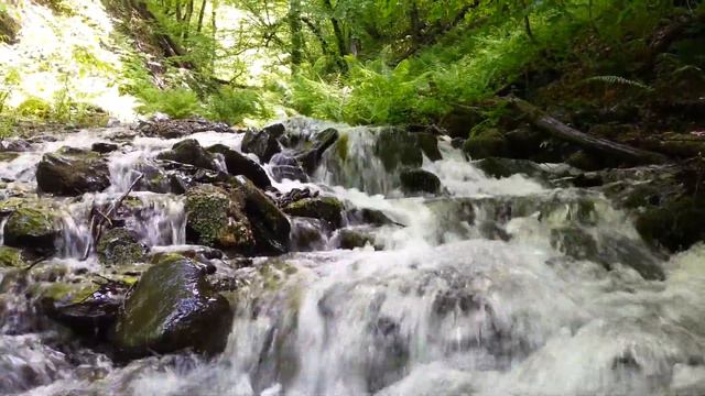 Горный ручей на "Тропе здоровья " в Розе-Хутор смотреть онлайн