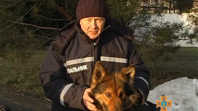 Службові собаки-рятувальники – на службі Управління ДСНС в області смотреть онлайн