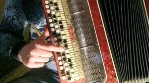 Разбор Незабудка