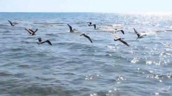 Соленое море