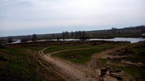 Трихопол для кур 🐓🐔👍