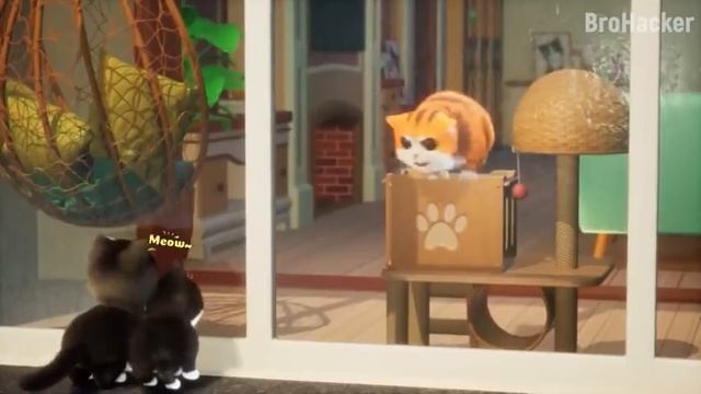 I'm in the Kitten Match World - Help Stray Cute Cats Ep #7 смотреть онлайн