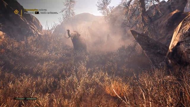 Intel q6600 | GT 430 | 8 RAM | FarCry Primal смотреть онлайн