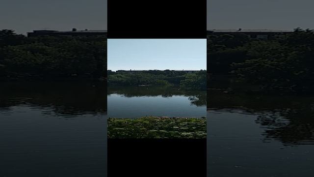 Московский Зоопарк