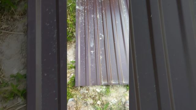 Мастерская мечты 81 день ЧАСТЬ 8 #shorts смотреть онлайн