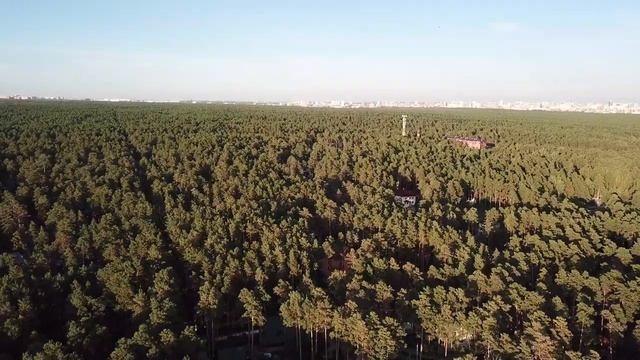 Новосибирск, Заельцовский парк, р.Обь смотреть онлайн