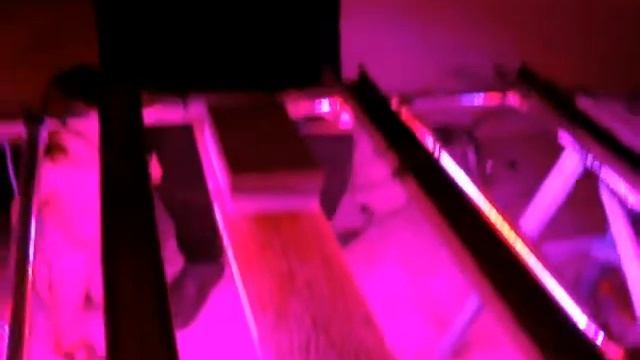 Измерение люксов под светодиодным светильником для рассады Наш ответ на комментарии!!! смотреть онлайн