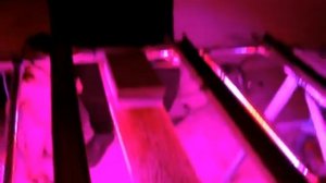 Измерение люксов под светодиодным светильником для рассады  Наш ответ на комментарии!!!