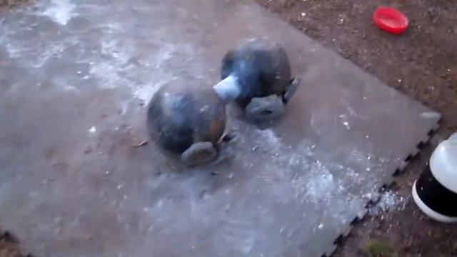 Sundin: 135 Lb. Inch-type DB+5, +7.5 & +10 Lbs On Thumb Side To Increase Rotation