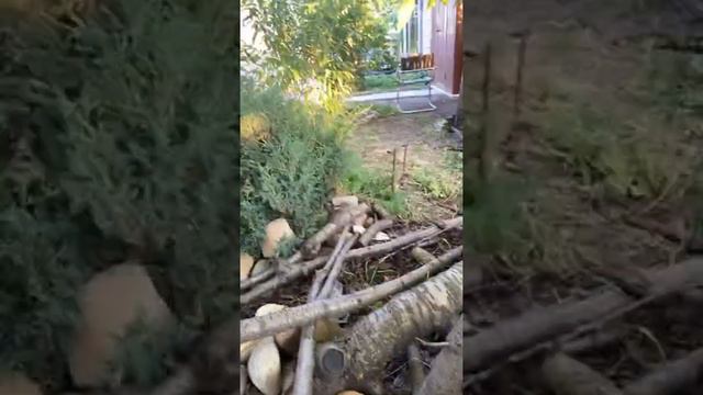 💓 смотреть онлайн