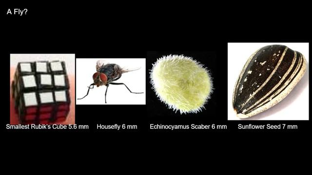 Universe Size Comparison And Beyond Part 1 (COMPLETE VERSION) смотреть онлайн
