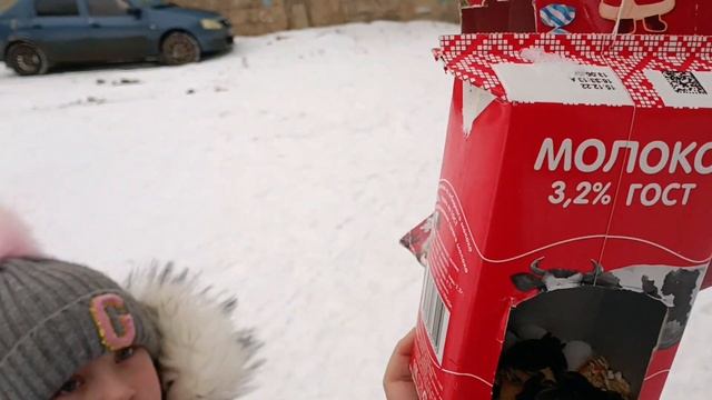 Окружающий мир.Домашнее задание.Кормушка для птиц. смотреть онлайн