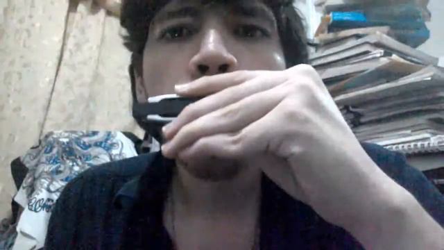 The Lord of the Rings OST | The Shire - Flute Intro (Harmonica Cover by Manuel A. Crespo Rodríguez) смотреть онлайн