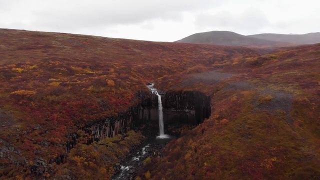 4k Aerial of Svartifoss waterfall in Iceland смотреть онлайн