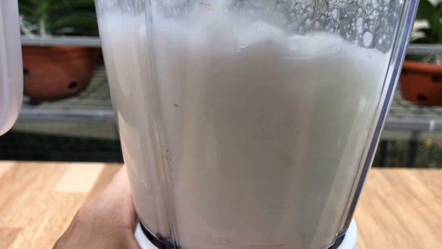 Pour 1 Spoon Into The Roots! Suddenly, Anthurium Bloomed Like Never Before смотреть онлайн