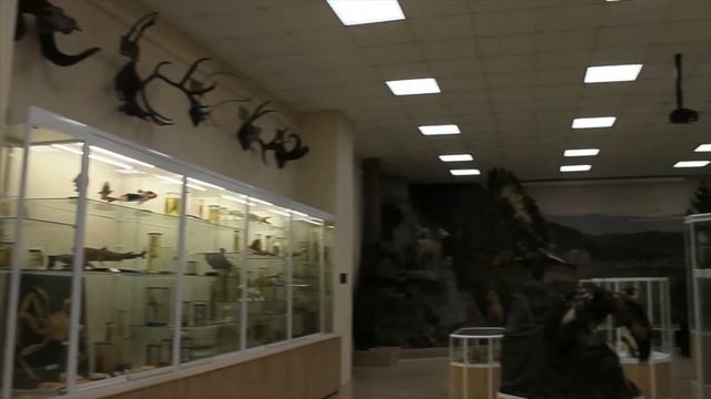 Зоологический музей БашГУ. Концепция "Умного музея" смотреть онлайн