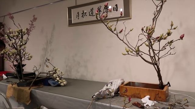 Japonya'da ikebana sergisi hazırlıkları смотреть онлайн