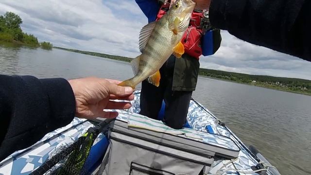 Спиннинг с лодки. ЩУКА и ОКУНЬ на ДЖИГ. Рыбалка в ИЮНЕ. смотреть онлайн