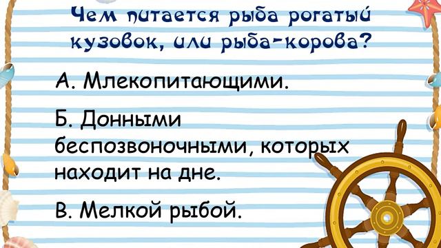 Тайны морских просторов смотреть онлайн
