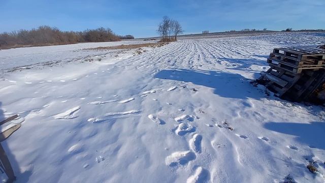Призрак коммунизма. Конные грабли. смотреть онлайн