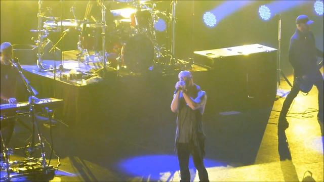 Daughtry 