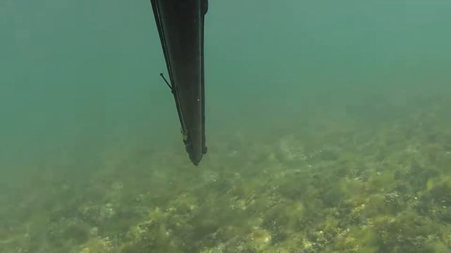 Подводная охота Каспийское море Баку Турканы GOPR0165 смотреть онлайн