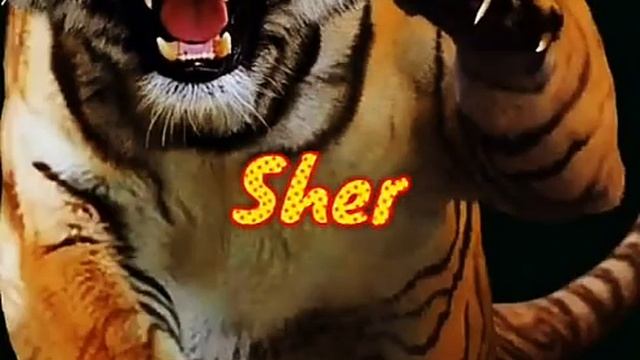 5 February 2021 смотреть онлайн