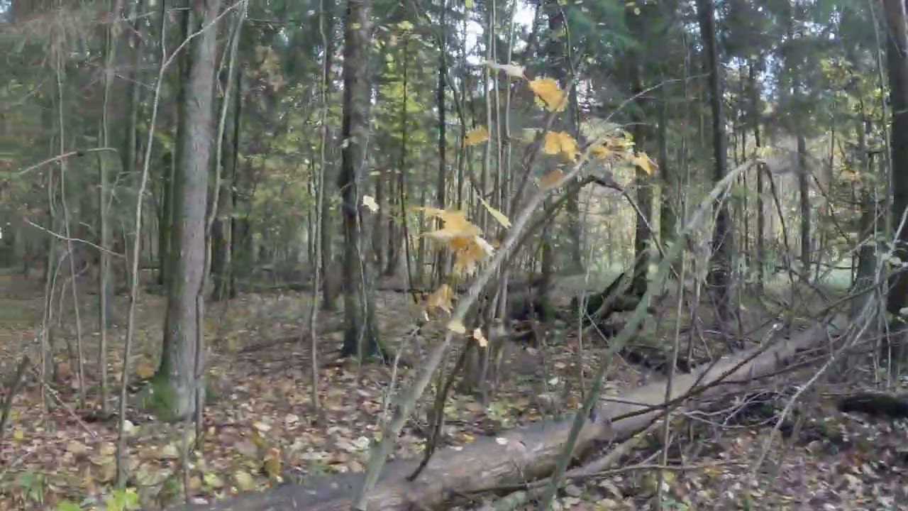 7.10.2022_4 смотреть онлайн