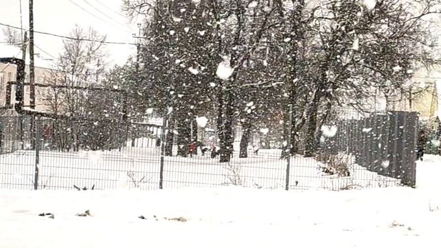 такого снегопада. смотреть онлайн