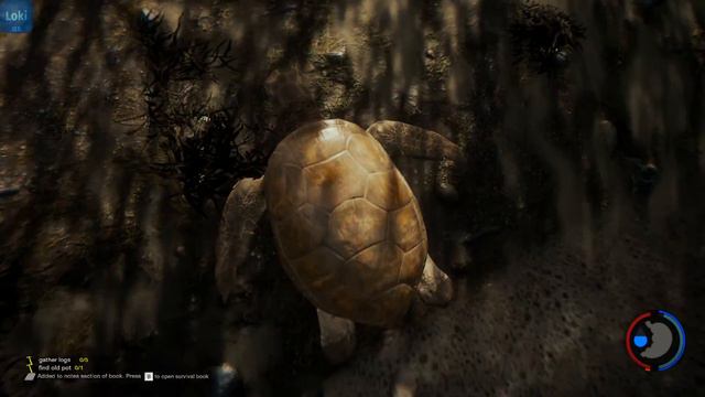 The Forest - Странная яхта, первое похищение №2 смотреть онлайн