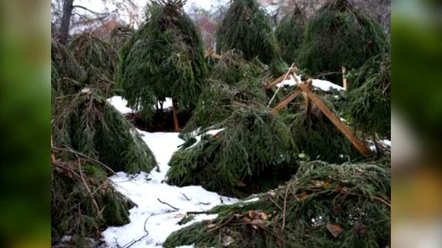 Чем укрыть растения на зиму? Лучшие материалы для зимнего укрытия растений смотреть онлайн