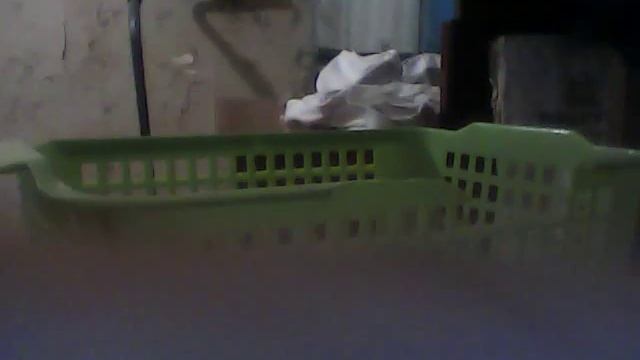 МОЖНО ЛИ ДРЕССИРОВАТЬ ЧЕРЕПАХУ ? ЧЕМ КОРМИТЬ ? КАК УХАЖИВАТЬ ЗА ПРЕСНОВОДНЫМИ ЧЕРЕПАХАМИ ?