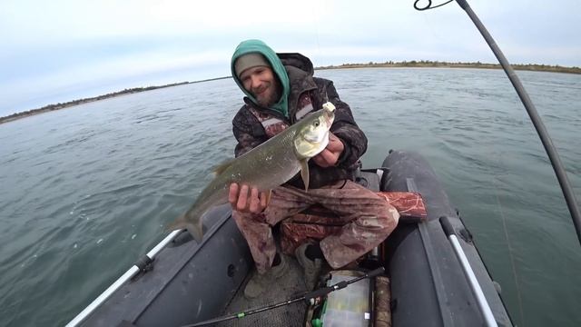 РЫБАЛКА В ДЕБРЯХ РЕКИ Или. смотреть онлайн