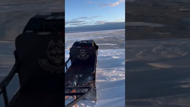 Мотобуксировщик с реверсом 18 сил, мотор Bison. Производитель MOTODOG OÜ, Эстония смотреть онлайн