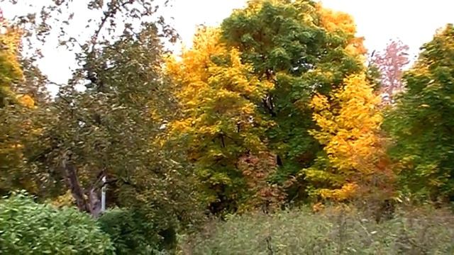 Парк "Северное Тушино", 05.10.21 смотреть онлайн