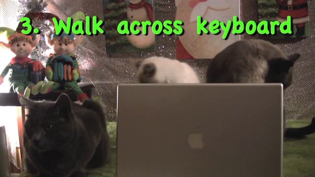 Cats Top New Year's Resolutions - Furball Fables смотреть онлайн