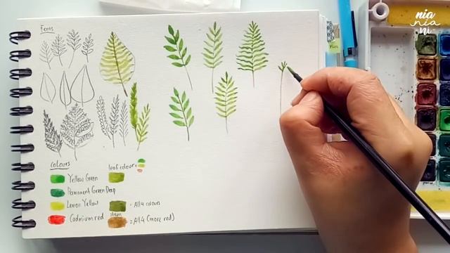 EASY Watercolor Tutorial: Forest Ferns смотреть онлайн