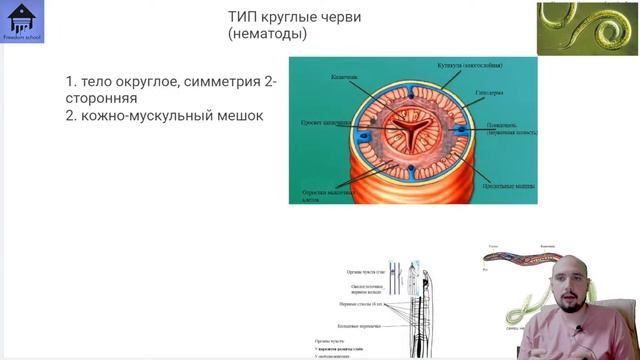 Вся ЗООЛОГИЯ за 5 ЧАСОВ! (ЧАСТЬ 1 - БЕСПОЗВОНОЧНЫЕ) |ЕГЭ БИОЛОГИЯ|Freedom| смотреть онлайн