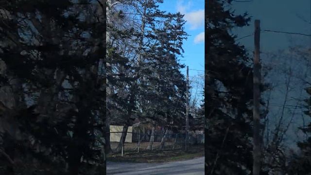 Мы с вами в Keswick. Как живут в канадской деревеньке. смотреть онлайн